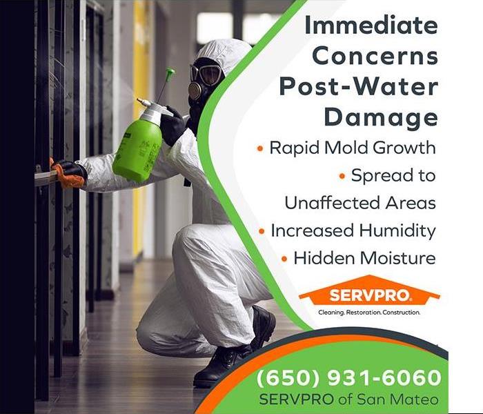 professional in yellow gloves and white protective suit inspecting mold damage on a wall