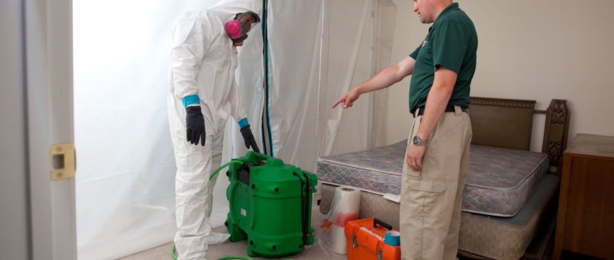 San Mateo, CA mold removal process